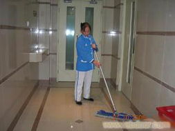 專業開荒保潔服務與物業管理 覆蓋永嘉、洞頭、平陽、蒼南、文成、泰順